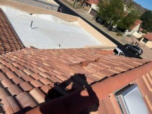 473931657 607775862010031 1474315211495807000 n